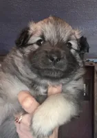 processed/646015e1-75a5-437a-9bb7-7692b6c8b69e/listing/68e6384d-4fbc-4f85-9212-1d60e782909a/6180b842-9463-46bf-b3a4-c64f75b0893f