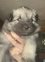 processed/646015e1-75a5-437a-9bb7-7692b6c8b69e/listing/68e6384d-4fbc-4f85-9212-1d60e782909a/cde58265-60e7-4e3f-b9a9-95c5499bebba