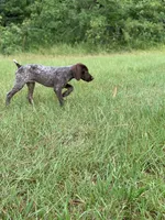 processed/6463339b-1e7e-4949-a2d0-cd8a73c360ee/facility/06dc3592-fb27-4a81-aeab-34c45f5eaa66