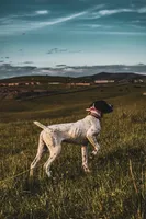 processed/6463339b-1e7e-4949-a2d0-cd8a73c360ee/facility/ccf96d38-bfc9-489c-866c-efbb3cebd3d3