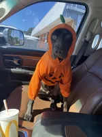 processed/6463339b-1e7e-4949-a2d0-cd8a73c360ee/facility/d365a1f3-b774-4b58-8899-8eac5ce0b0d8