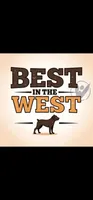100% European Brindle Female  Heath Tested  , a female Boxer for sale in Brownsville, TN – Photo 10 of 10