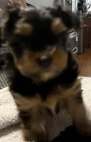 processed/64760ffa-3f02-49b0-9554-4f79b6712de9/listing/56f62227-7548-4f16-a5c7-2f9d0b05870d/5452ae85-64a1-41ba-b55f-411e96eb2d1b