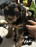 processed/64760ffa-3f02-49b0-9554-4f79b6712de9/listing/56f62227-7548-4f16-a5c7-2f9d0b05870d/92f8ffce-a559-40b6-a4fb-ee0d5c1ee7d0