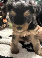 processed/64760ffa-3f02-49b0-9554-4f79b6712de9/listing/56f62227-7548-4f16-a5c7-2f9d0b05870d/b87f0ac5-0954-4bfe-942b-0c5ae0b93e6e