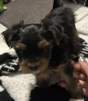 processed/64760ffa-3f02-49b0-9554-4f79b6712de9/listing/56f62227-7548-4f16-a5c7-2f9d0b05870d/becca1c4-2389-4a58-ab97-9ddf652f9ce8