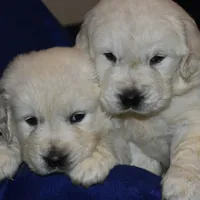 processed/647f8903-4508-42f2-b0c6-02dc00fb2eee/facility/11a7b664-1ebd-44ae-af7c-8edd5e337691