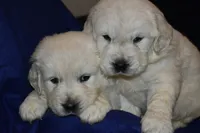 processed/647f8903-4508-42f2-b0c6-02dc00fb2eee/facility/11a7b664-1ebd-44ae-af7c-8edd5e337691