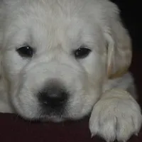 processed/647f8903-4508-42f2-b0c6-02dc00fb2eee/facility/15da9fa8-06a3-4723-8887-5a7f796858e0