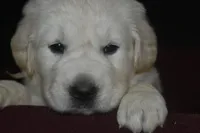 processed/647f8903-4508-42f2-b0c6-02dc00fb2eee/facility/15da9fa8-06a3-4723-8887-5a7f796858e0