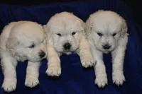 processed/647f8903-4508-42f2-b0c6-02dc00fb2eee/facility/3531c6e1-8479-424e-a6f5-1c4deb7b1c5f