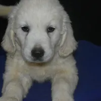 processed/647f8903-4508-42f2-b0c6-02dc00fb2eee/facility/41e30499-f803-4936-8692-0c960bbd84bc