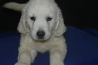 processed/647f8903-4508-42f2-b0c6-02dc00fb2eee/facility/41e30499-f803-4936-8692-0c960bbd84bc