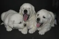 processed/647f8903-4508-42f2-b0c6-02dc00fb2eee/facility/5f80eba7-8b02-42b0-81e4-4a079881d315