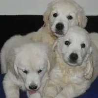 processed/647f8903-4508-42f2-b0c6-02dc00fb2eee/facility/8ad8765b-51de-4d7a-ae90-fbae63697ea2