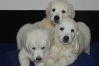 processed/647f8903-4508-42f2-b0c6-02dc00fb2eee/facility/8ad8765b-51de-4d7a-ae90-fbae63697ea2