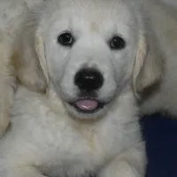 processed/647f8903-4508-42f2-b0c6-02dc00fb2eee/facility/d493fbfb-0ac5-4d62-a005-dbdfffdf14bf