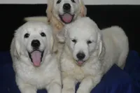 processed/647f8903-4508-42f2-b0c6-02dc00fb2eee/facility/f0f0ef5f-4c5d-46ae-a28b-4ad42a6043c2