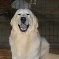 processed/647f8903-4508-42f2-b0c6-02dc00fb2eee/facility/f721b0eb-df02-4ef3-8f3a-b14715fc1131