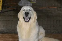 processed/647f8903-4508-42f2-b0c6-02dc00fb2eee/facility/f721b0eb-df02-4ef3-8f3a-b14715fc1131