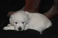 processed/647f8903-4508-42f2-b0c6-02dc00fb2eee/listing/07e6e176-ae64-4a2f-b2f3-1fd04883037e/3179df9b-c4c1-40bc-aa76-8a5091a5e914