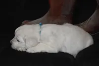 processed/647f8903-4508-42f2-b0c6-02dc00fb2eee/listing/07e6e176-ae64-4a2f-b2f3-1fd04883037e/7bf75013-403b-432f-b087-a613e10cbba4