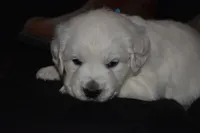 processed/647f8903-4508-42f2-b0c6-02dc00fb2eee/listing/07e6e176-ae64-4a2f-b2f3-1fd04883037e/9c19a884-a691-4c90-a0ff-0c93edc3ef4c