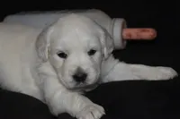 processed/647f8903-4508-42f2-b0c6-02dc00fb2eee/listing/cce0801d-7d98-4ae6-9fda-7e0807426a34/1aa50d7c-4621-45de-a8c7-939b467a59d5