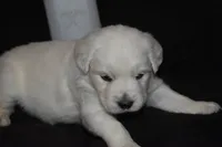 processed/647f8903-4508-42f2-b0c6-02dc00fb2eee/listing/cce0801d-7d98-4ae6-9fda-7e0807426a34/35e4eb98-60f6-4687-84b1-cbaba51e7817