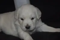 processed/647f8903-4508-42f2-b0c6-02dc00fb2eee/listing/cce0801d-7d98-4ae6-9fda-7e0807426a34/d25f2899-3b6c-4ed4-87c1-a5b3b315eddf