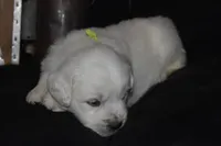 processed/647f8903-4508-42f2-b0c6-02dc00fb2eee/listing/e780bfdb-2c98-4a60-abe1-8178e23c2117/b8076e62-7380-480e-afc3-e269a6b96175