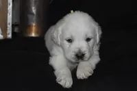 processed/647f8903-4508-42f2-b0c6-02dc00fb2eee/listing/e780bfdb-2c98-4a60-abe1-8178e23c2117/bf85f725-dcd1-4693-b2c4-3d69bc16dd85