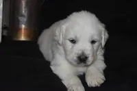 processed/647f8903-4508-42f2-b0c6-02dc00fb2eee/listing/e780bfdb-2c98-4a60-abe1-8178e23c2117/fabc57e8-0711-4895-a0e9-878b173dd932