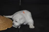 processed/647f8903-4508-42f2-b0c6-02dc00fb2eee/listing/f51bf7d1-63ec-43b9-a9f5-8ca537fe4672/92506eb1-5bcc-490e-92e5-f33cba0948b0