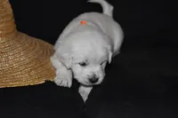 processed/647f8903-4508-42f2-b0c6-02dc00fb2eee/listing/f51bf7d1-63ec-43b9-a9f5-8ca537fe4672/a1cc169a-b43b-44ec-9bcc-cf03bb0f60d6