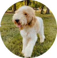 processed/6482c671-f902-43af-8c9c-b8355b8c56d4/facility/5aaaa9f1-81e5-4ede-a1e6-d5964d298357