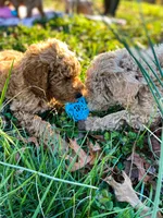 processed/6482c671-f902-43af-8c9c-b8355b8c56d4/facility/75abe48e-36fe-42fc-b32b-a228e2da11ea