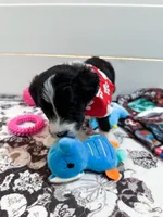 processed/6482c671-f902-43af-8c9c-b8355b8c56d4/listing/195f4770-d5e1-4c37-b843-682a57358f00/537d8048-9bcb-4892-9e2e-6a5a68f9e4bc