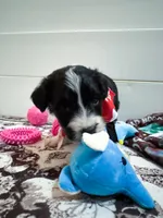 processed/6482c671-f902-43af-8c9c-b8355b8c56d4/listing/195f4770-d5e1-4c37-b843-682a57358f00/71a65d91-0fde-46b1-afbb-b712bd597049