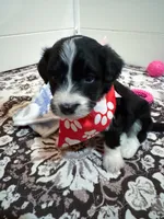 processed/6482c671-f902-43af-8c9c-b8355b8c56d4/listing/195f4770-d5e1-4c37-b843-682a57358f00/8f746db6-1851-4405-b0f8-902c80f76b9e