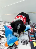 processed/6482c671-f902-43af-8c9c-b8355b8c56d4/listing/195f4770-d5e1-4c37-b843-682a57358f00/f997ffcc-b649-4179-b460-507be23845e1