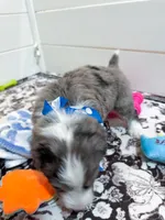 processed/6482c671-f902-43af-8c9c-b8355b8c56d4/listing/27b4a19c-65fe-4ff6-ac45-4ed339e27d08/25642119-ab1c-452d-9b83-2f950af08e3f