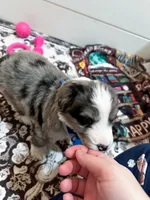 processed/6482c671-f902-43af-8c9c-b8355b8c56d4/listing/27b4a19c-65fe-4ff6-ac45-4ed339e27d08/ccfc726f-7bdc-4cc4-8016-fb2cf1db8d93