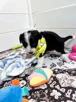 processed/6482c671-f902-43af-8c9c-b8355b8c56d4/listing/349dabd2-1788-405f-b18a-fe0f45328a1a/3e2970bf-f139-45f1-afa6-4628812d0e30