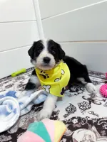 processed/6482c671-f902-43af-8c9c-b8355b8c56d4/listing/349dabd2-1788-405f-b18a-fe0f45328a1a/68cbee51-61b9-4d7a-8cdd-7db1054c9d28