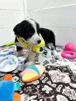 processed/6482c671-f902-43af-8c9c-b8355b8c56d4/listing/349dabd2-1788-405f-b18a-fe0f45328a1a/b79e482e-fa8d-4de8-acc9-792e92e036f5