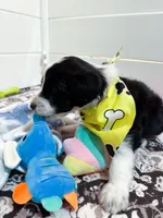 processed/6482c671-f902-43af-8c9c-b8355b8c56d4/listing/349dabd2-1788-405f-b18a-fe0f45328a1a/f9a35af6-107e-48a4-a994-62f0946038d1