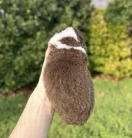 Puddles, a male Aussiedoodle and Bernedoodle for sale in Hickory, NC – Photo 2 of 2