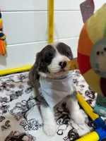 processed/6482c671-f902-43af-8c9c-b8355b8c56d4/listing/ba9afc1d-1607-492d-82de-908b98f589c2/099546e4-05ff-472e-9921-fa412d20d8b9