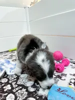 processed/6482c671-f902-43af-8c9c-b8355b8c56d4/listing/ba9afc1d-1607-492d-82de-908b98f589c2/8bf879a4-ece5-482b-9706-0c0bde9cba81